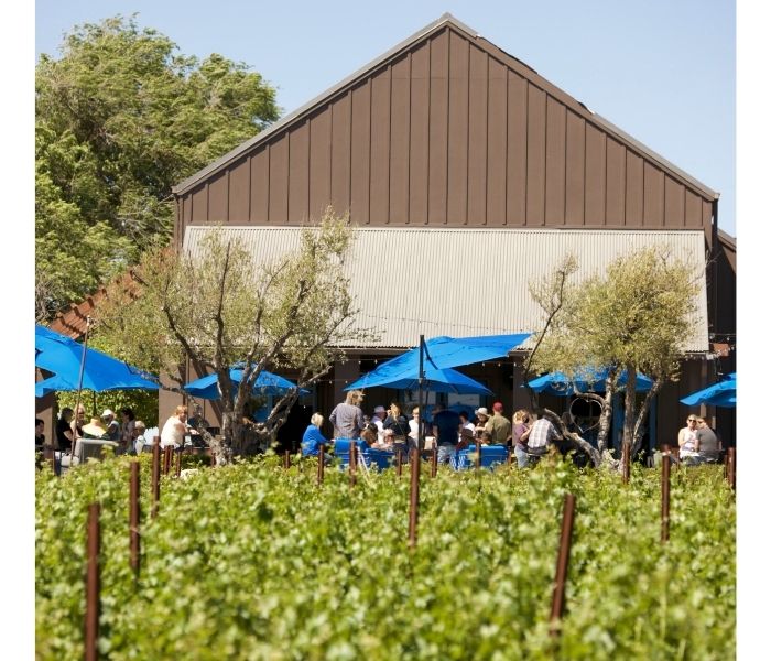 J Dusi Vineyard Tour
